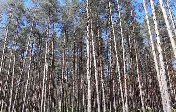 Земля под ИЖС, 9 соток Павловский Посад