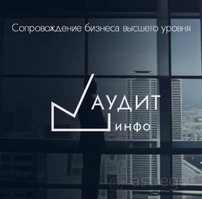 Аудит-Инфо Ростов-на-Дону - изображение 1
