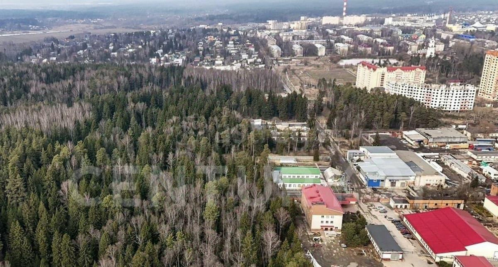 Коммерческий участок, 38 соток Пушкино - изображение 4