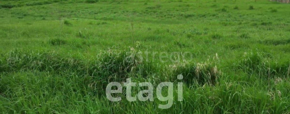 Земельный участок, 10.1 сотки Березовка - изображение 2