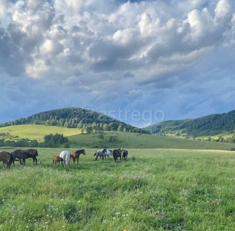 Земельный участок, 100 га Алтайское - изображение 1