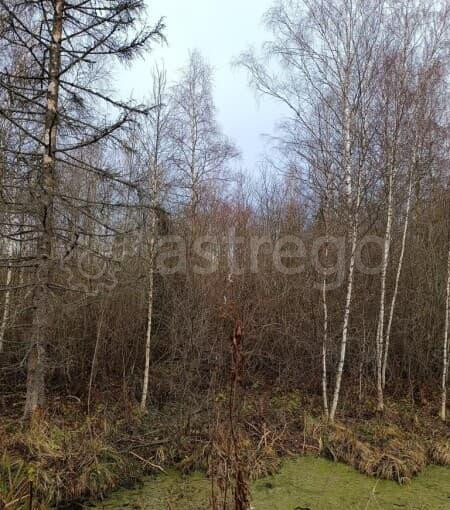 Земля с/х назначения, 7.8 сотки Солнечногорск - изображение 8