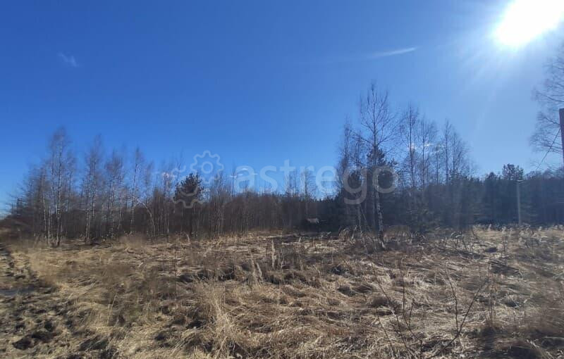 Земля под ИЖС, 16 соток Шатура - изображение 1