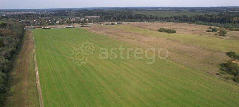 Земля с/х назначения, 26 га Руза - изображение 9