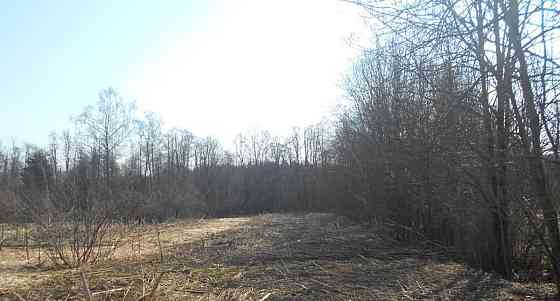 Земельный участок, 19.75 сотки Шаховская