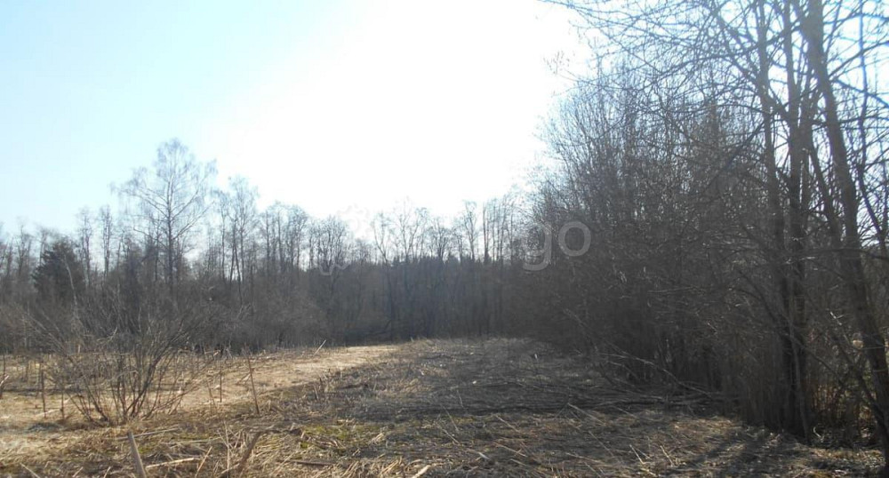 Земельный участок, 19.75 сотки Шаховская - изображение 1