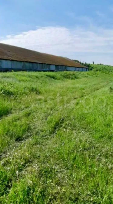 Продам Производственное Помещение, 1600 м2 Благовещенск - изображение 6