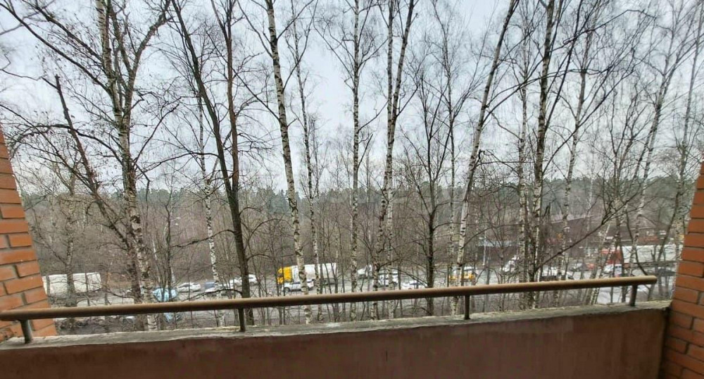 3-комн. квартира, 129.4 м2, 4/8 эт. Балашиха - изображение 3