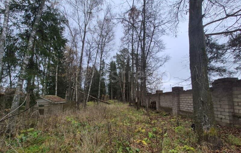 Коммерческий участок, 8.39 га Можайск - изображение 6