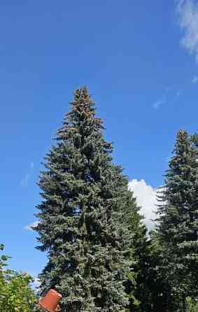 Земельный участок, 17.81 сотки Пушкино