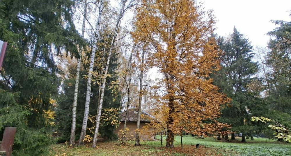 Земельный участок, 17 соток Долгопрудный - изображение 4