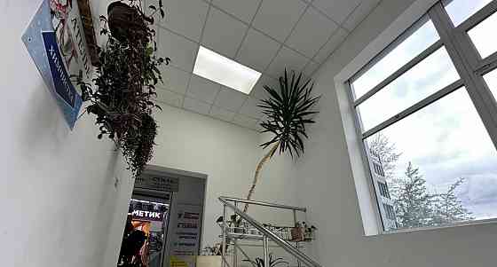 Торговое помещение, 32.3 м2 Химки