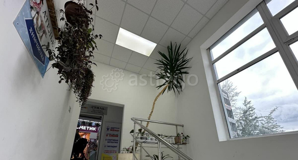 Торговое помещение, 32.3 м2 Химки - изображение 6