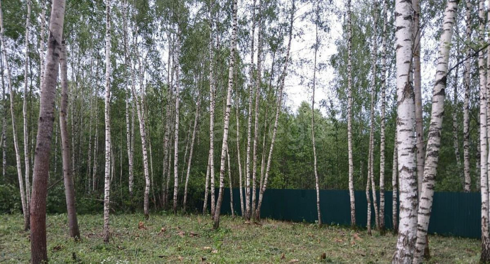 Земельный участок, 9 соток Павловский Посад - изображение 1