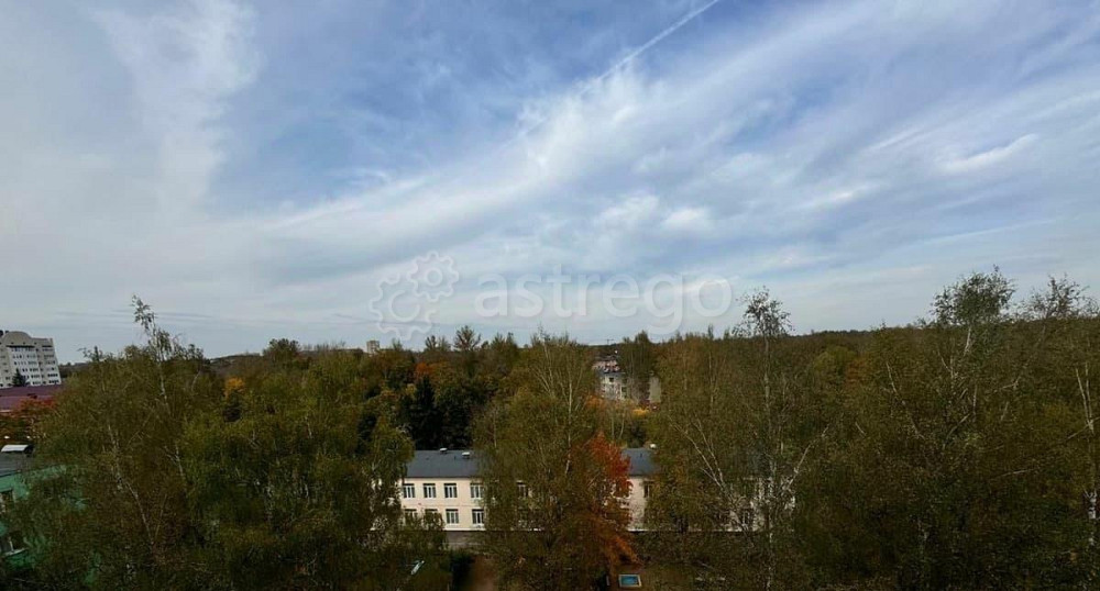 3-комн. квартира, 71 м2, 8/10 эт. Клин - изображение 7