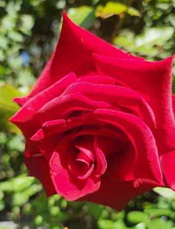 4-комн. квартира, 96 м2, 1/2 эт. Тында