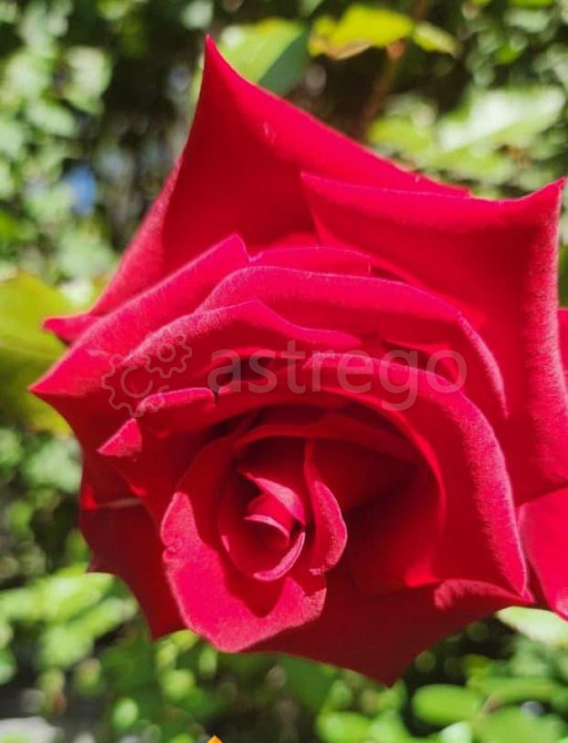 4-комн. квартира, 96 м2, 1/2 эт. Тында - изображение 5