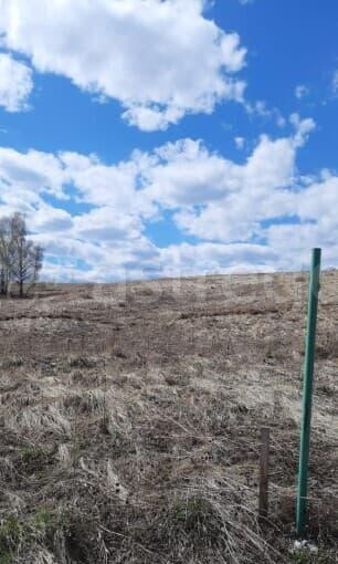 Земельный участок, 15 соток Красноярск - изображение 3