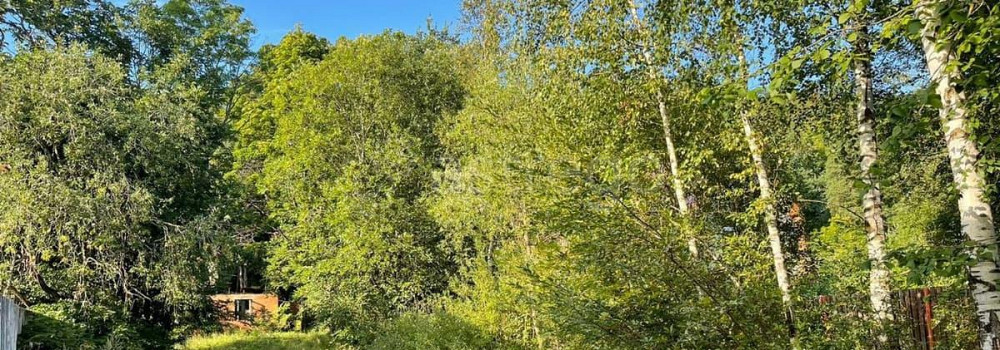 Земельный участок, 15 соток Санкт-Петербург - изображение 4