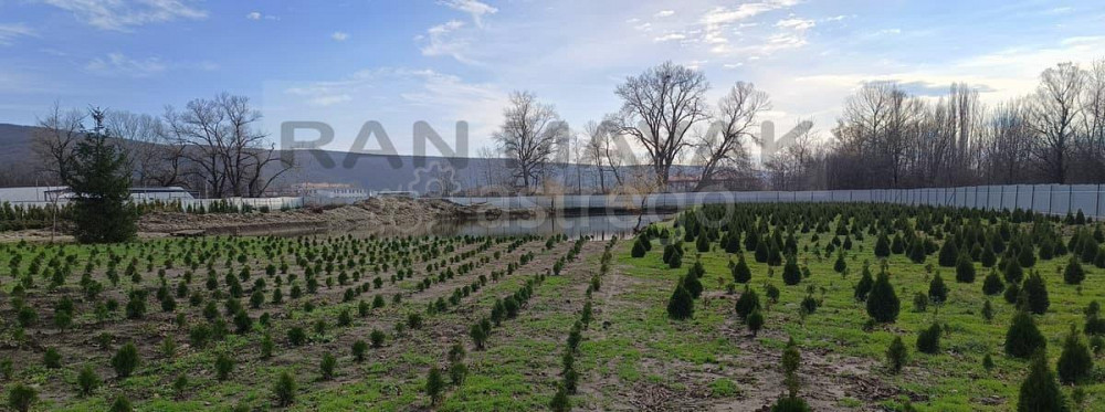 Торговое помещение, 37662 м Тульский - изображение 9