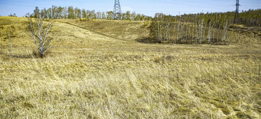 Земельный участок, 15 соток Красноярск - изображение 7