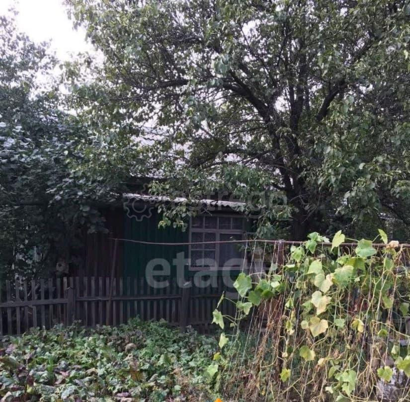 Дом, 47.9 м2, 12 соток, 1 эт. Благовещенск - изображение 2