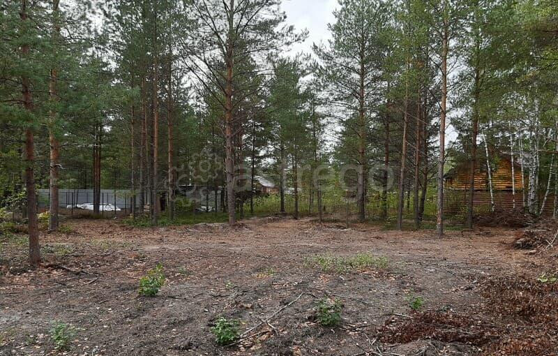 Земельный участок, 8 соток Павловский Посад - изображение 5