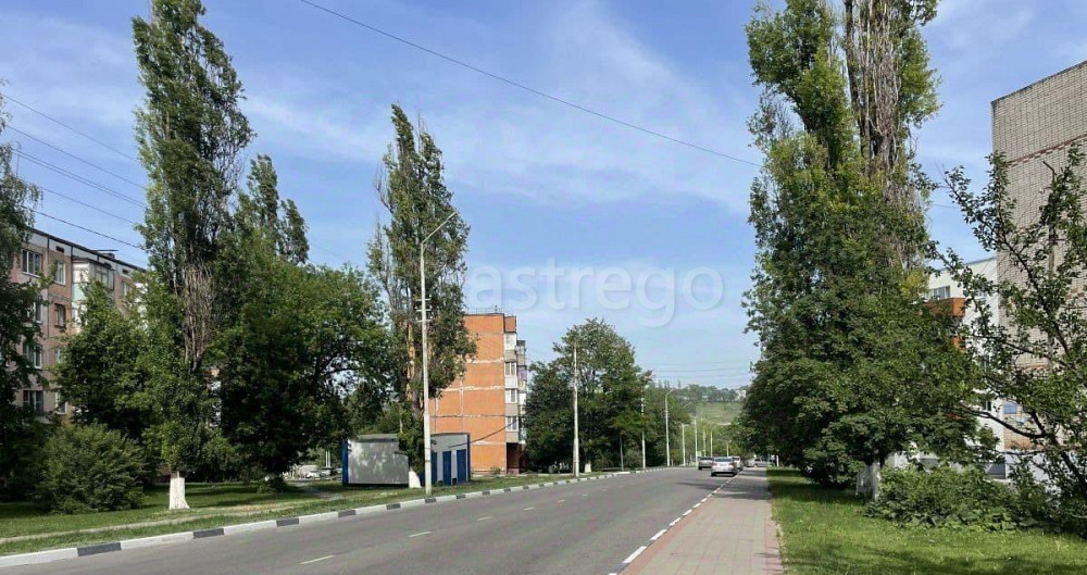 Торговое помещение, 44 м2 Губкин - изображение 3