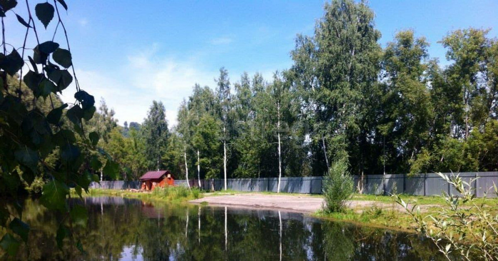 Готовый бизнес, 199.3 м2 Алтайское - изображение 1