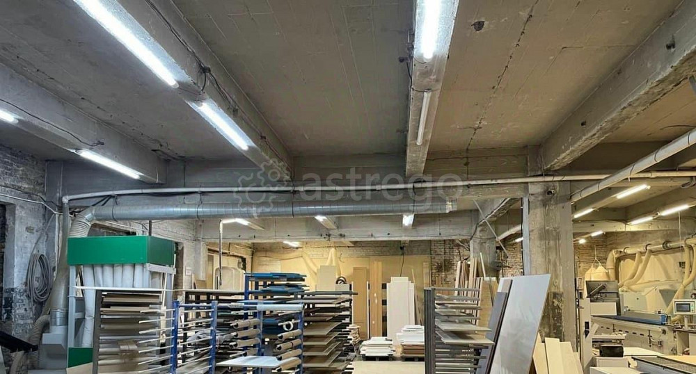 Производственное, 809 м2 Санкт-Петербург - изображение 5