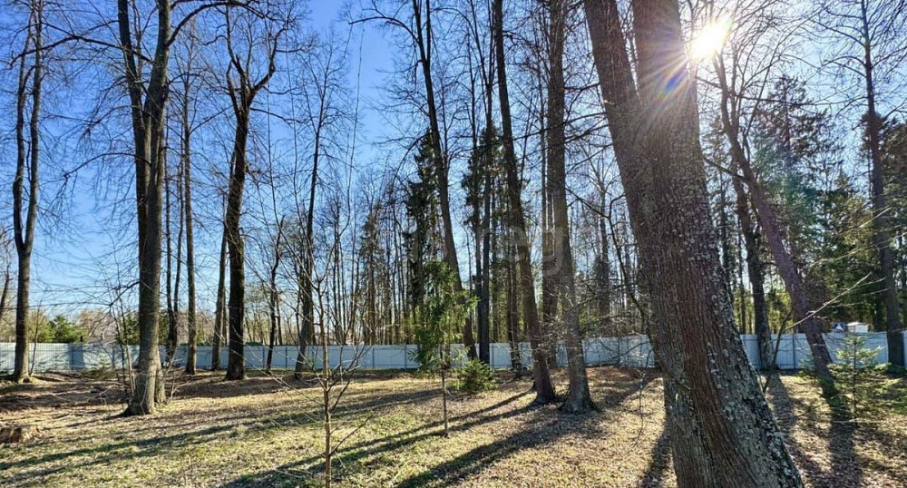 Земельный участок, 7 соток Пушкино - изображение 1