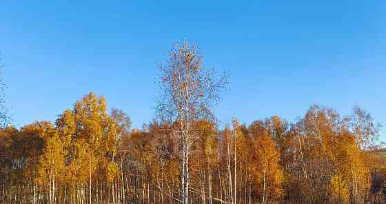 Земельный участок, 9.2 сотки Емельяново