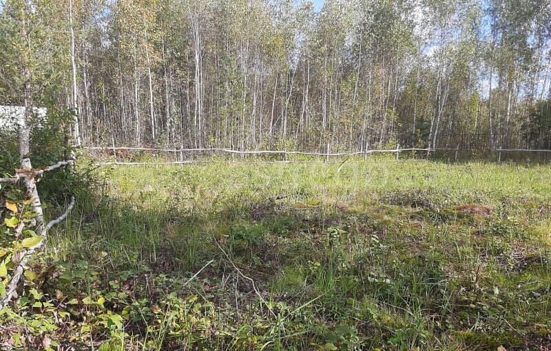 Земля под ИЖС, 8 соток Павловский Посад - изображение 9