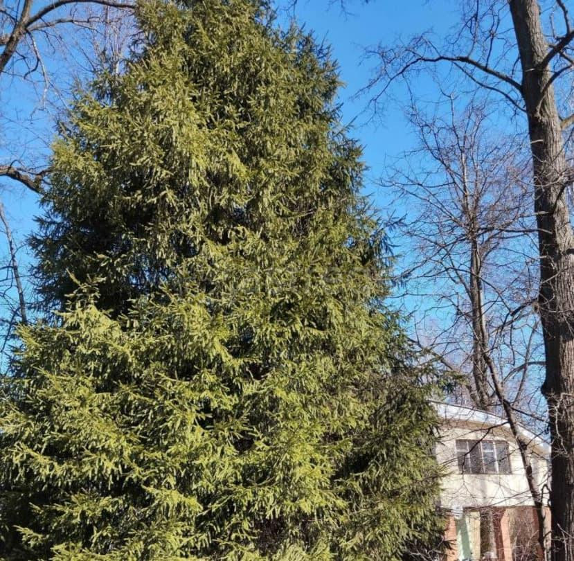 Дом, 200 м2, 12 соток, 2 эт. Балашиха - изображение 2