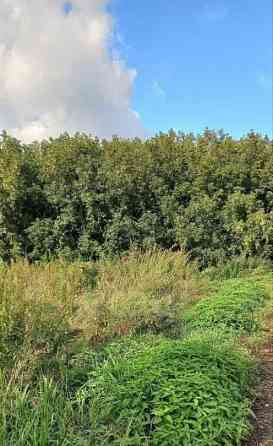 Земельный участок, 15 соток Красноярск