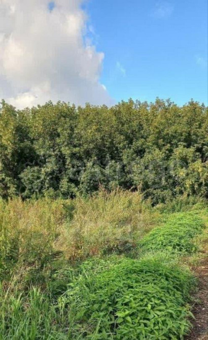 Земельный участок, 15 соток Красноярск - изображение 1