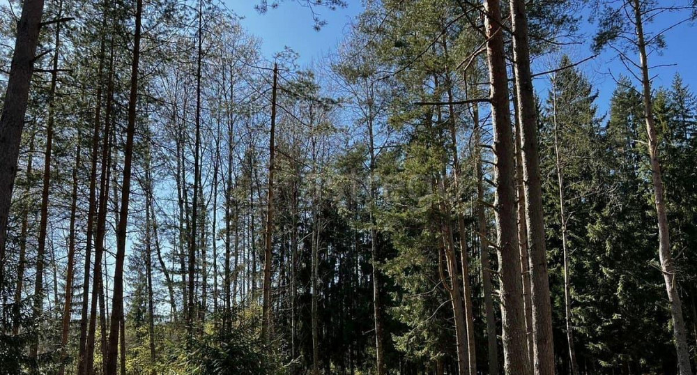 Земельный участок, 13 соток Санкт-Петербург - изображение 6