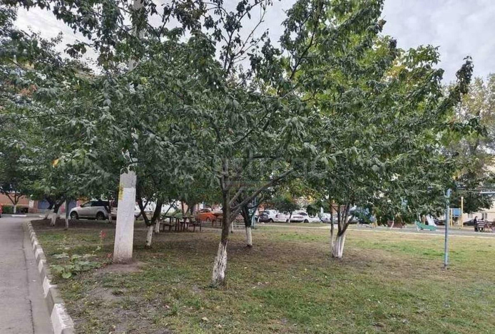 3-комн. квартира, 55.7 м2, 5/5 эт. Строитель - изображение 4