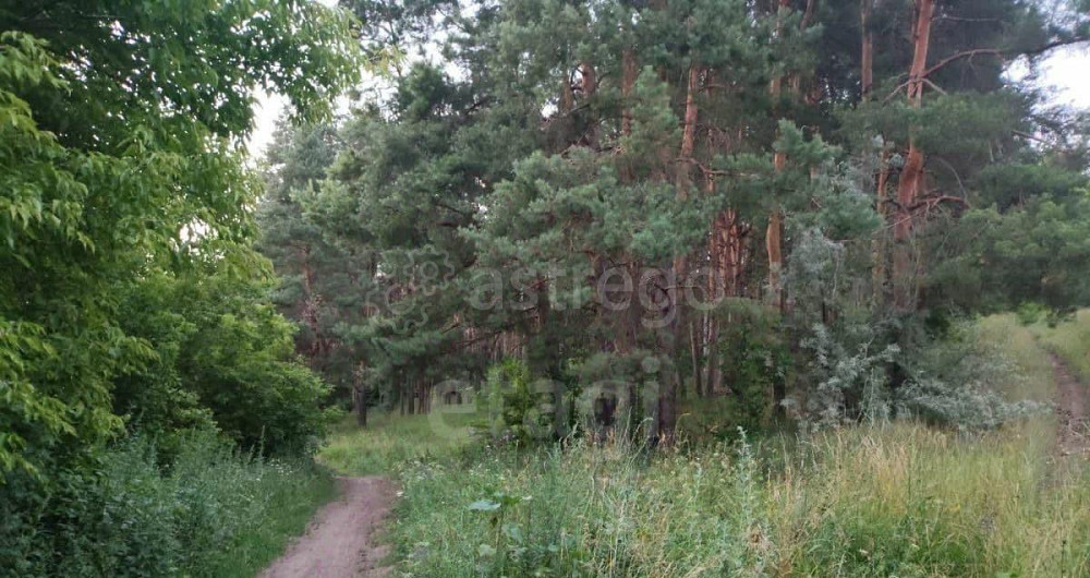 Земельный участок, 13.6 сотки Белгород - изображение 3