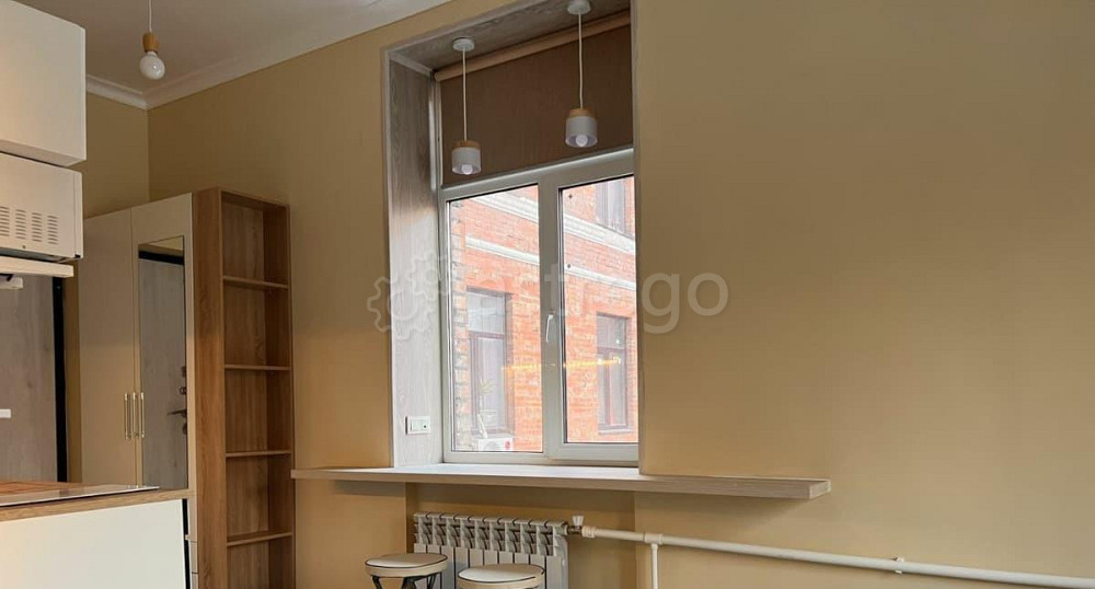 Студия, 20 м2, 3/5 эт. Москва - изображение 3
