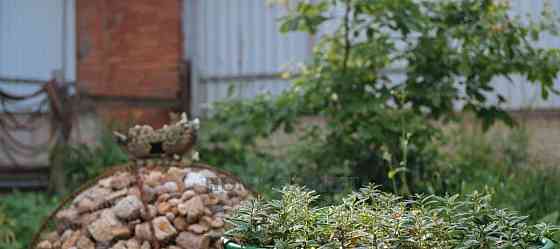 Дом, 200 м2, 10 соток, 2 эт. Лобня