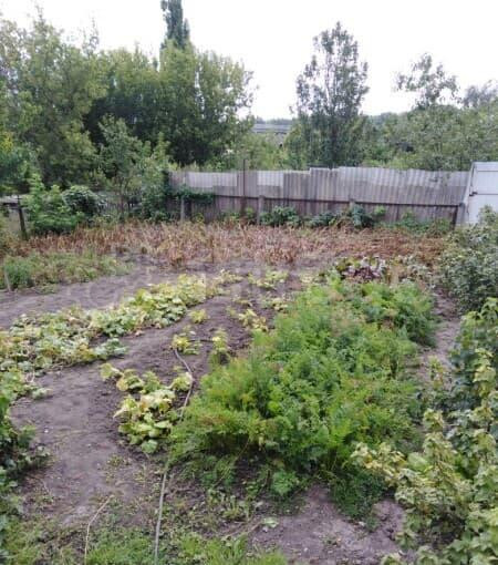 Дом, 45 м2 Губкин - изображение 8