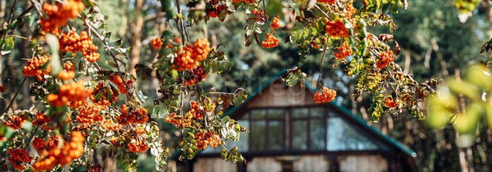 Готовый бизнес, 470 м2 Алексеевка - изображение 3