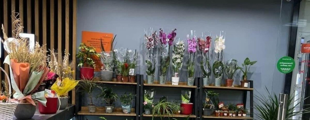 Готовый бизнес, 35 м2 Щёлково - изображение 2