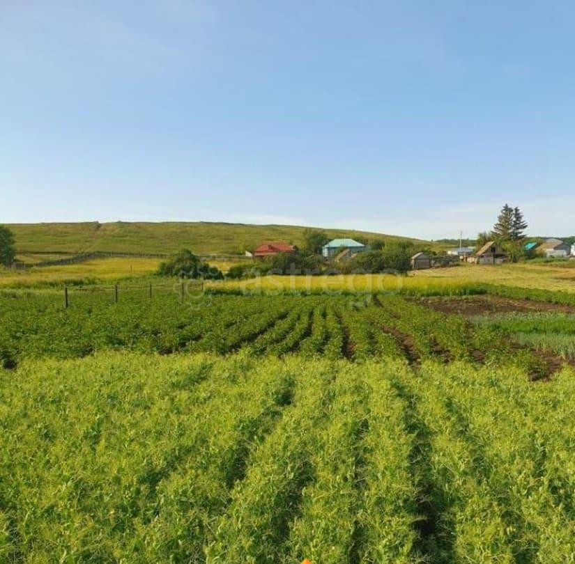 Дом, 57 м2, 27 соток, 1 эт. Чишмы - изображение 5