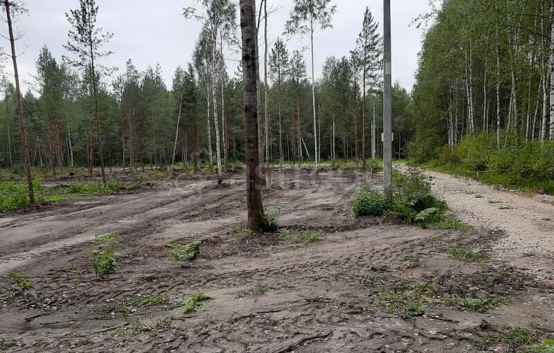 Земля с/х назначения, 8 соток Павловский Посад - изображение 10