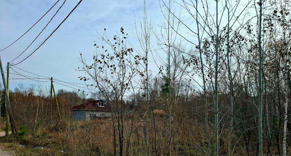 Земельный участок, 14.9 сотки Красноярск - изображение 4