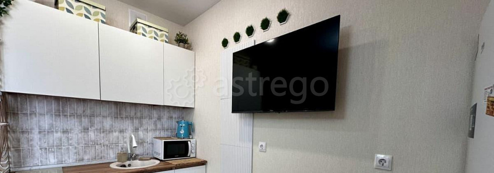 Студия, 27.6 м2, 5/16 эт. Яблоновский - изображение 4