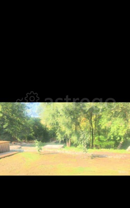 Коттедж, 400 м2, 15 га, 3 эт. Алтайское - изображение 2