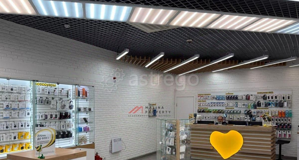 Торговое помещение, 58 м2 Дедовск - изображение 5